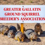 Greater Gallatin Ground Squirrel Breeder's Association